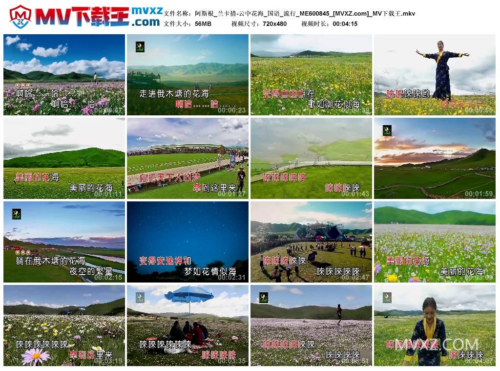 阿斯根_兰卡措-云中花海_国语_流行_ME600845